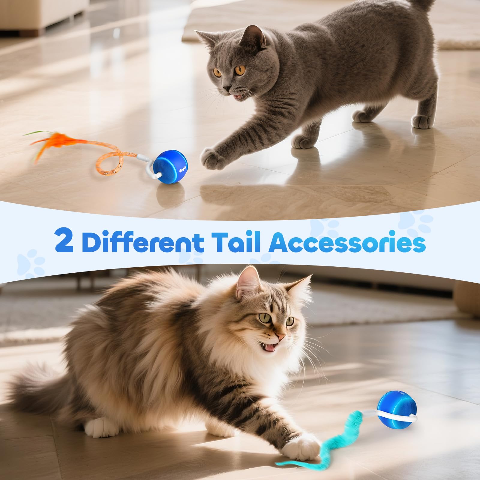 ddxcoo Automatic Interactive Cat Toy Ball for Indoor Cats, Ball