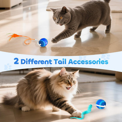 ddxcoo Automatic Interactive Cat Toy Ball for Indoor Cats, Ball