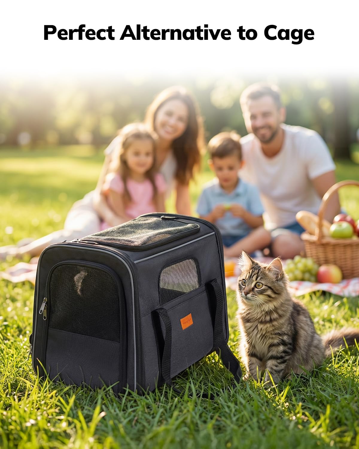 Morpilot Cat Carrier Cat Carrier Soft for Medium or Large Carriers