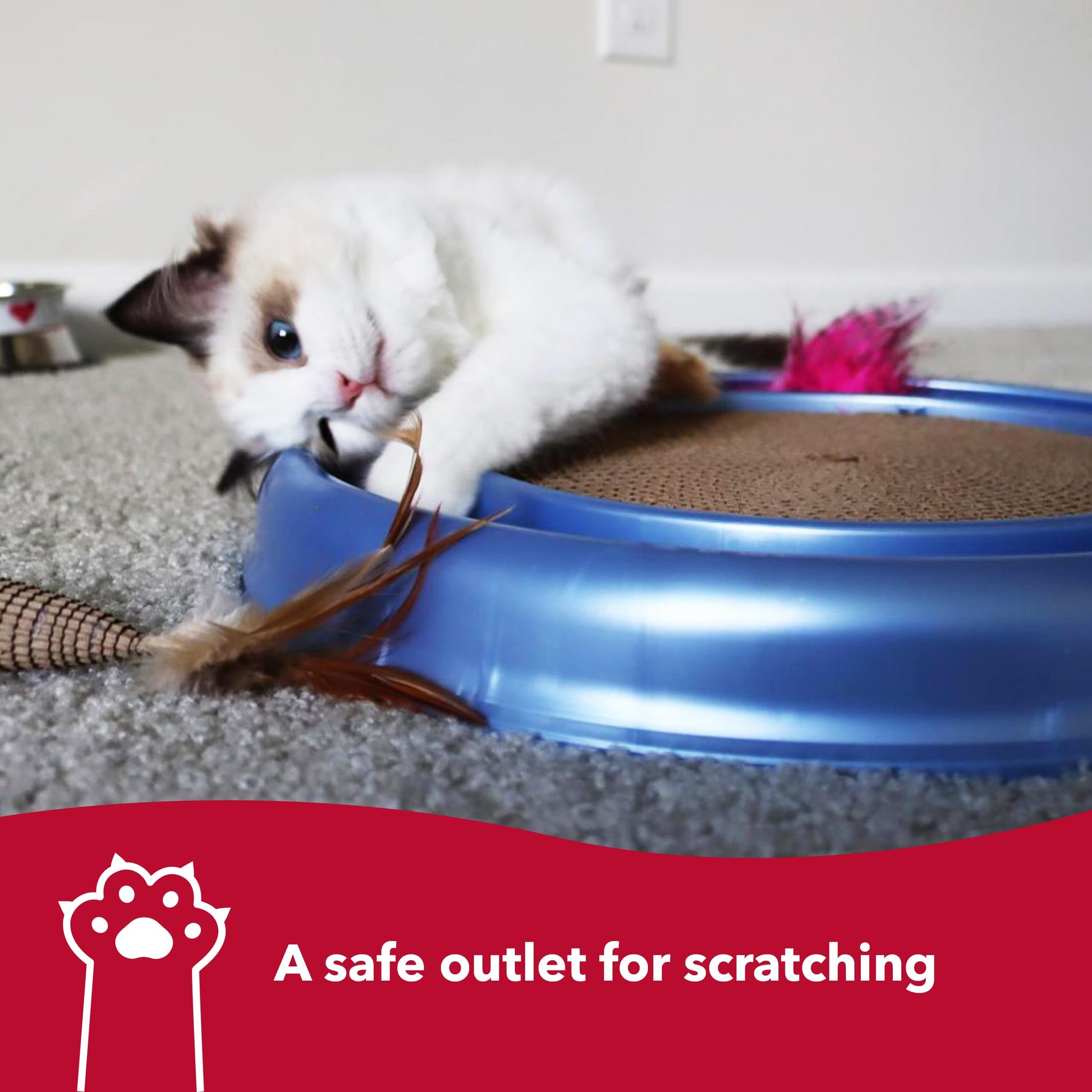 Coastal Pet Turbo Scratcher Cat Toy Cardboard Cat Scratcher Pad