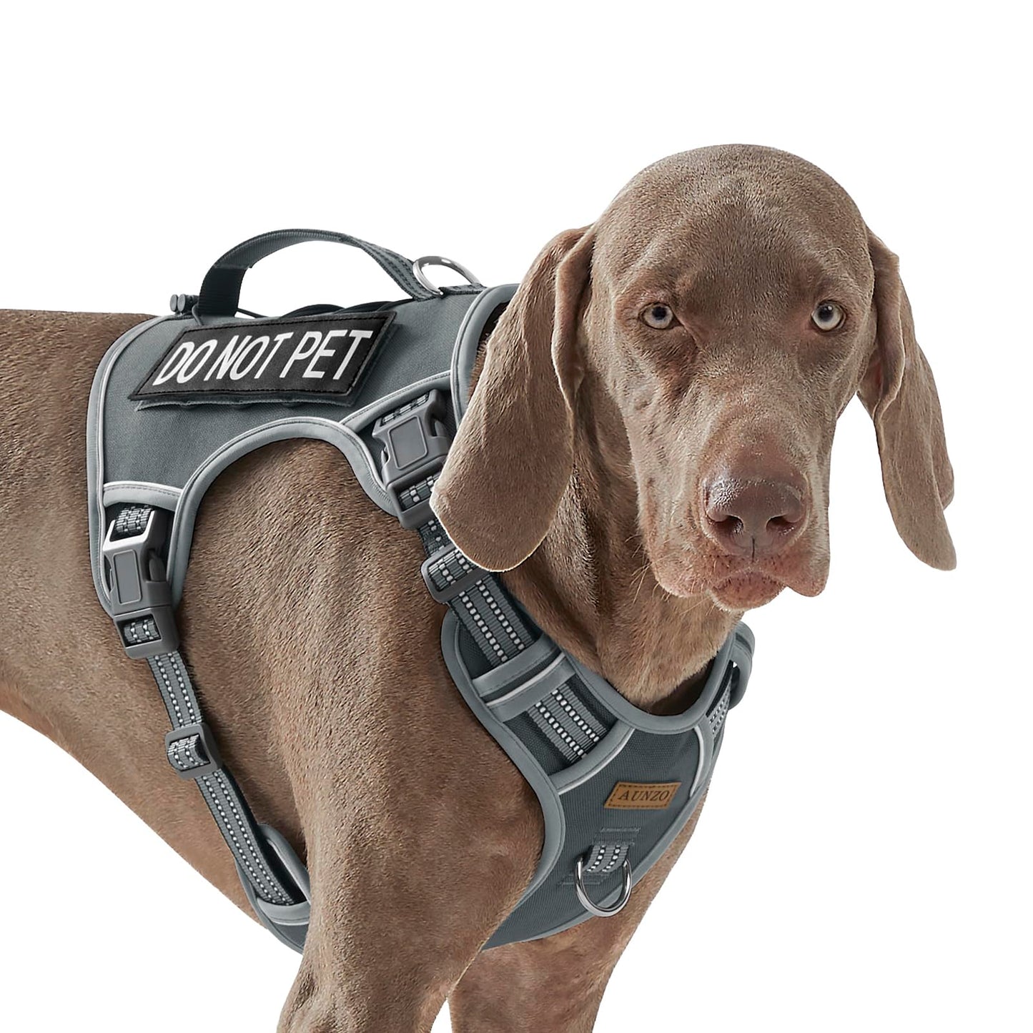 AUNZO Tactical Dog Harness for Large Dog Breeds, No Pull Harness