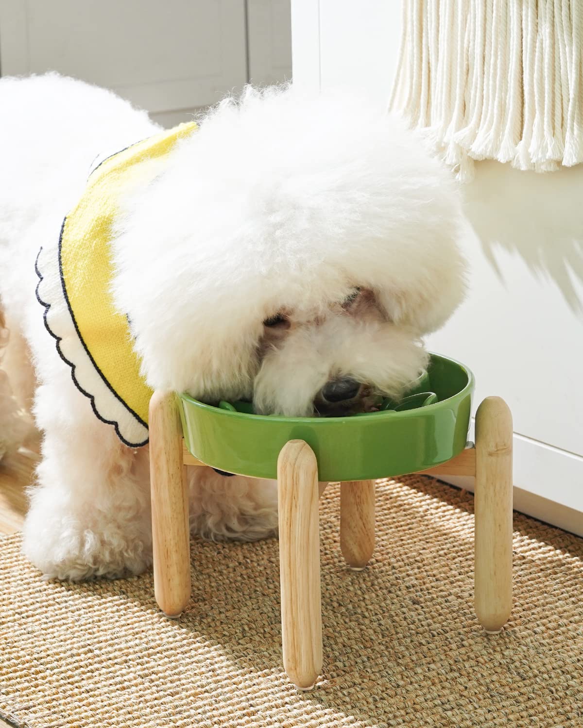 LE TAUCI Ceramic Slow Feeder Dog Bowls Elevated Feeder