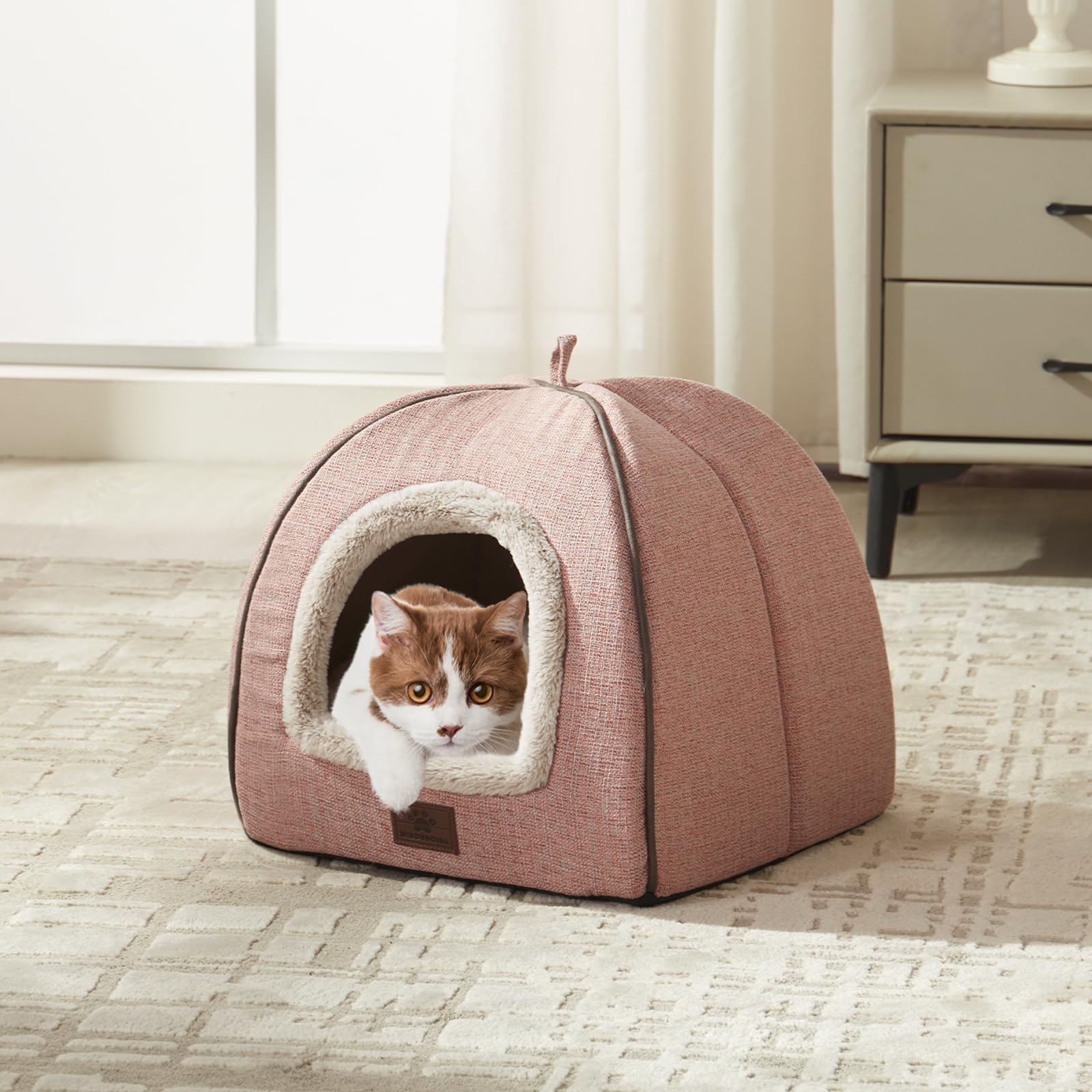 Cat Beds for Indoor Cats Cat House Cats Tent with Removable House