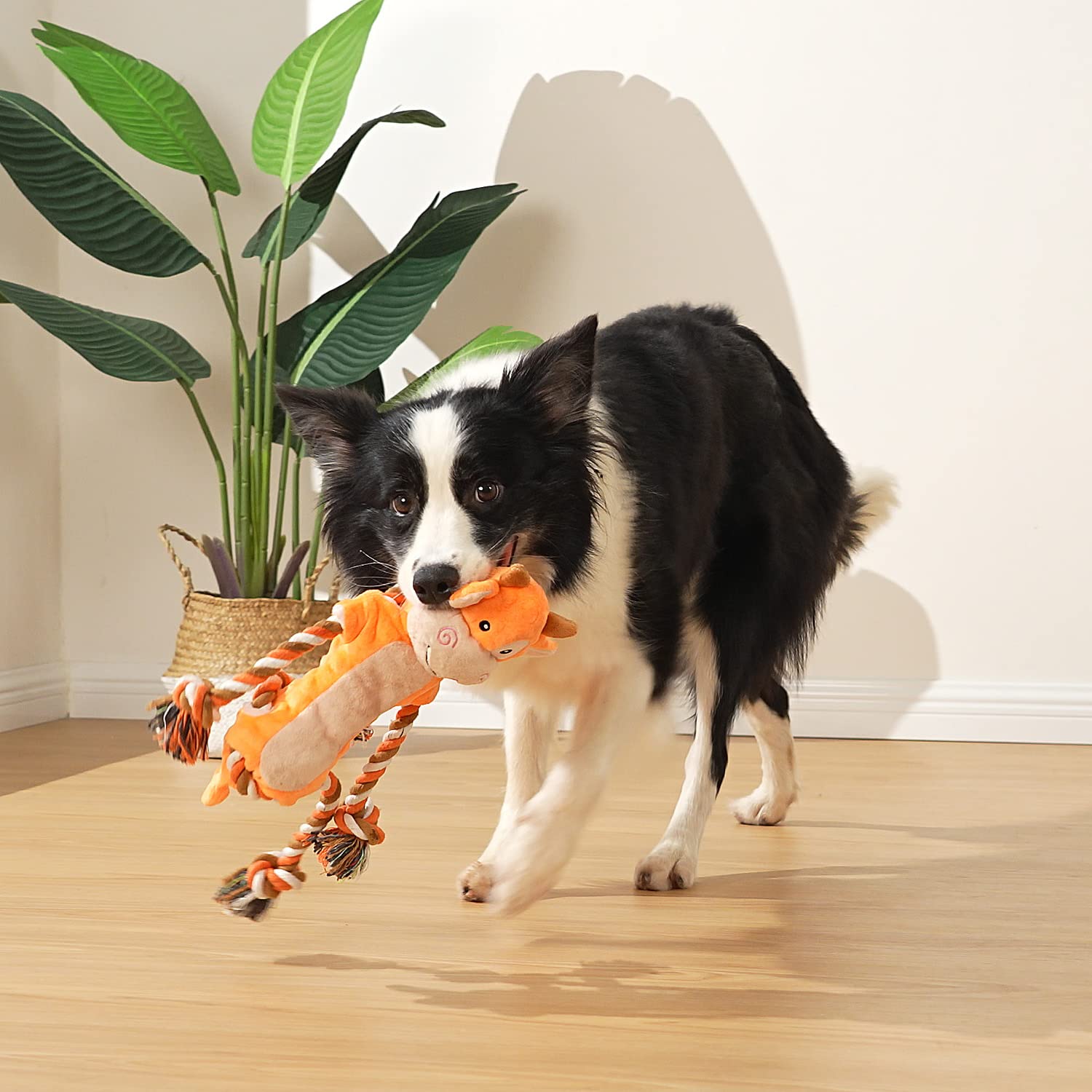Sedioso Dog Toys, Tug of War Dog Toys for Large Breed, Cute Plush