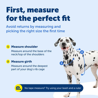 PetSafe 1 No-Pull Dog Harness for Small Dogs- Walk, Train or Harness