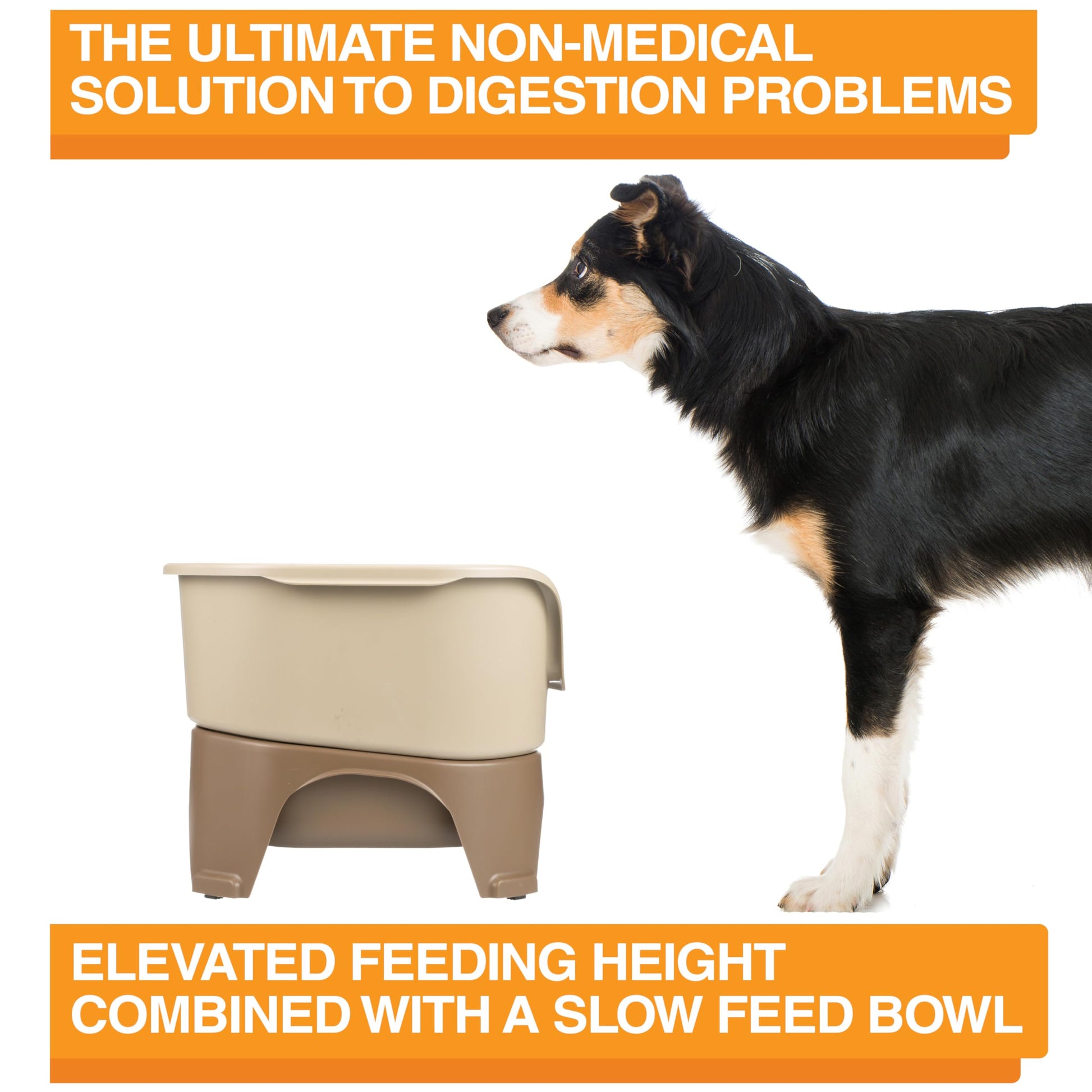 Neater Feeder Express Model w/Slow Feed Bowl Mess-Proof Dog Bowls Bowl