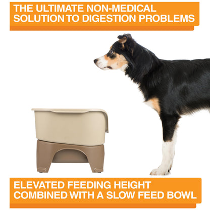 Neater Feeder Express Model w/Slow Feed Bowl Mess-Proof Dog Bowls Bowl