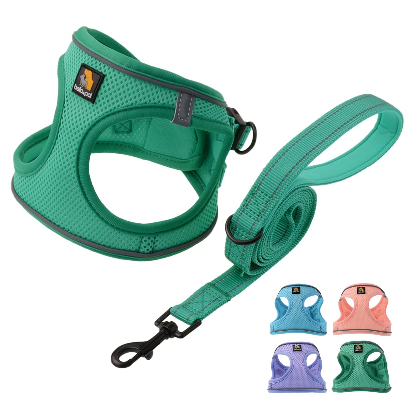 BELLA PAL Small Emerald Dog Harness with Leash Set, No Pull, Step Set