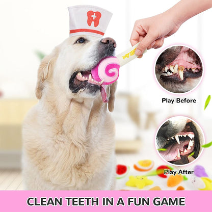 LEGEND SANDY Dog Squeaky Toys, Plush Small Dog Toys for Dogs, Plush