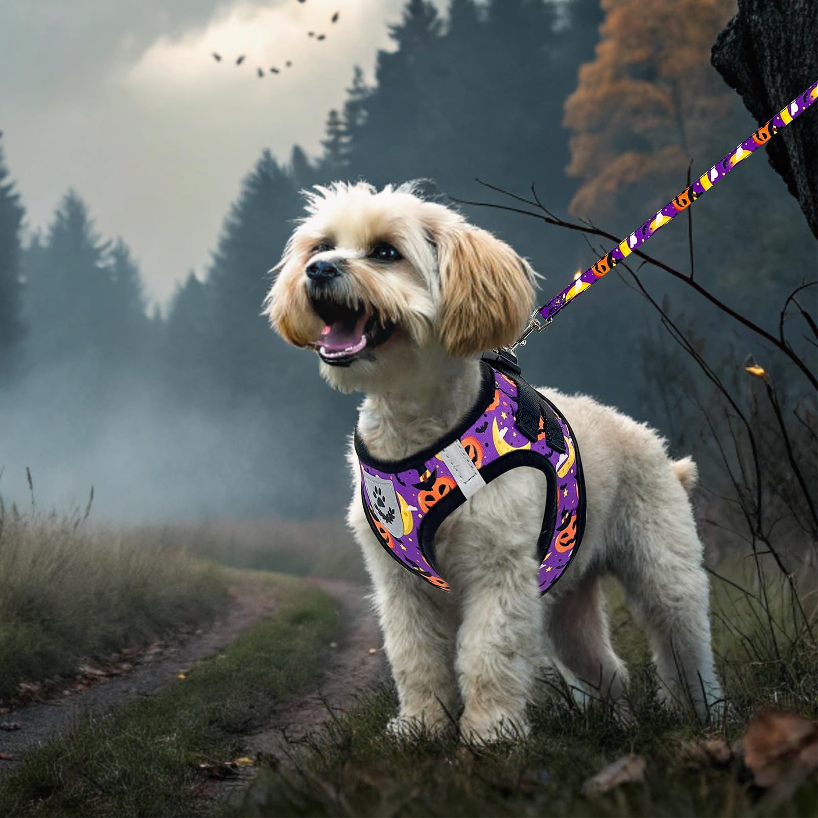 EXPAWLORER Halloween Puppy Harness Dog Collar and Leash Soft Collar