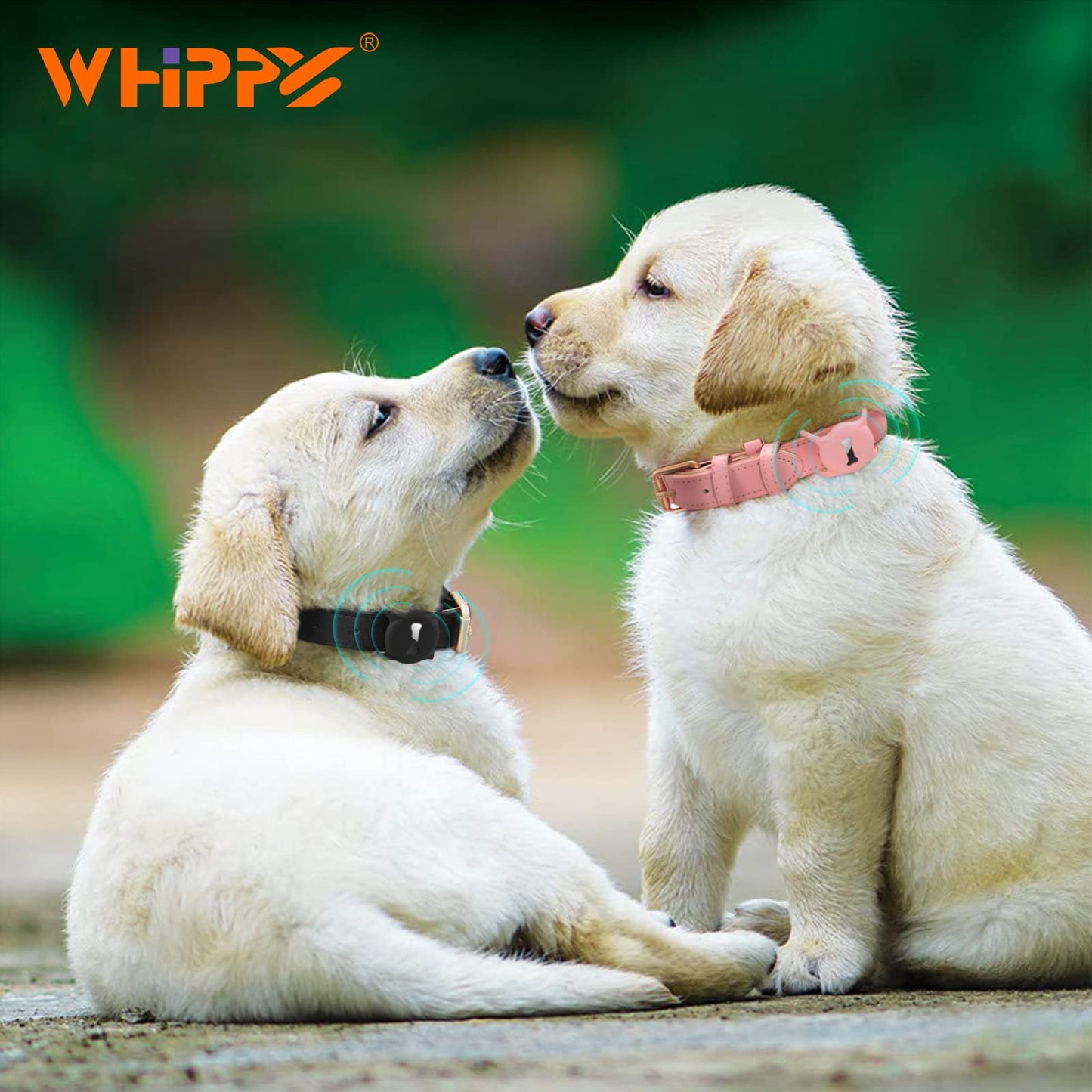 WHIPPY Airtag Leather Dog Collar GPS Tracker Air Tag Puppy Collar