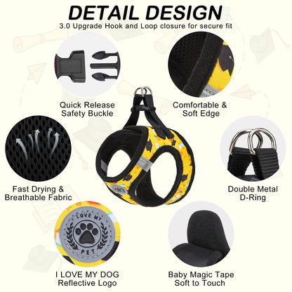 BEAUTYZOO Graduation Dog Harness for Small Medium Dogs Soft Padded Set