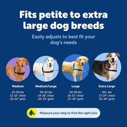PetSafe Easy Walk No-Pull Dog Harness Harness to Help Stop Leash