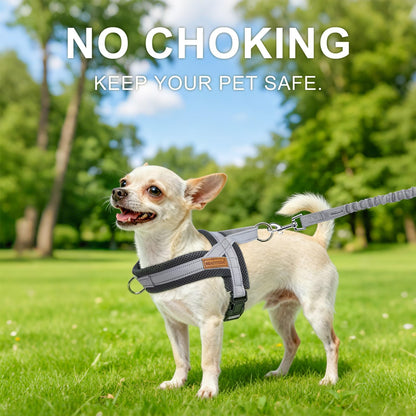 BEAUTYZOO Dog Harness for Small Dogs, No Pull Dog Harness and Leash
