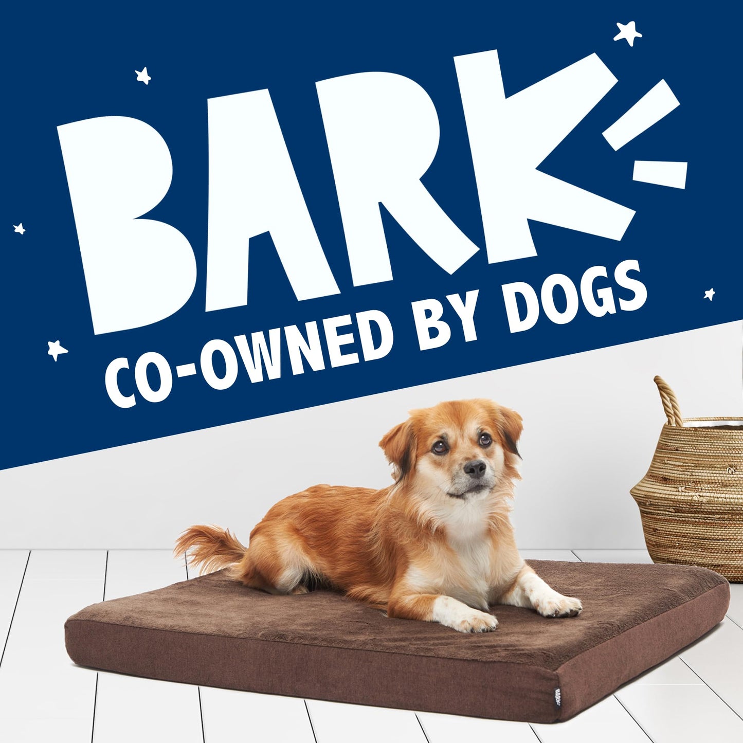 Barkbox Orthopedic Dog Bed, Comfortable Memory Foam Mattress for Bed