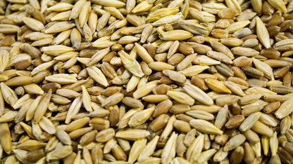 Thunder Acres Cat Grass Blend, Wheat, Barley, Oats, and Rye Mix Toy