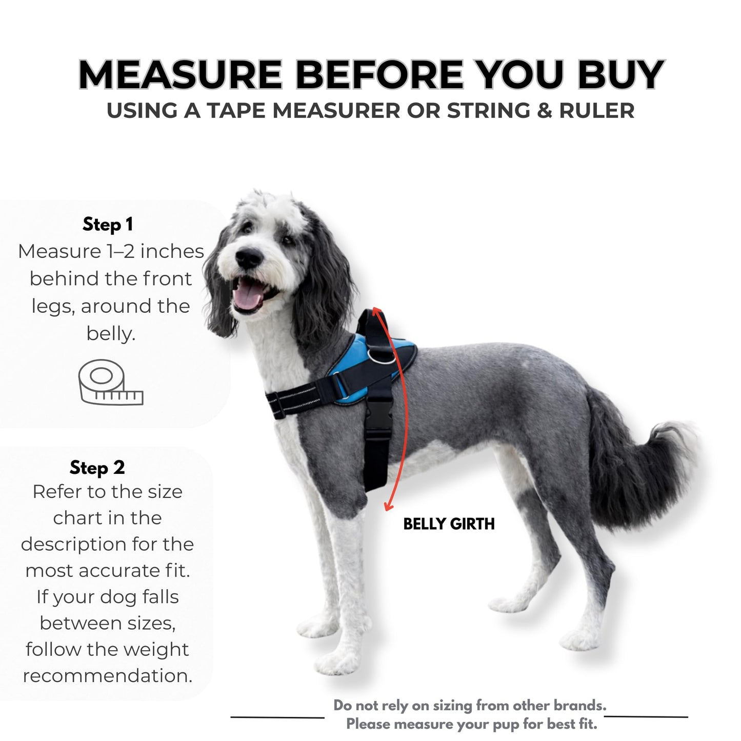 ShawnCo Essential Dog Harness, No-Pull Pet Vest with 3 Leash Leash