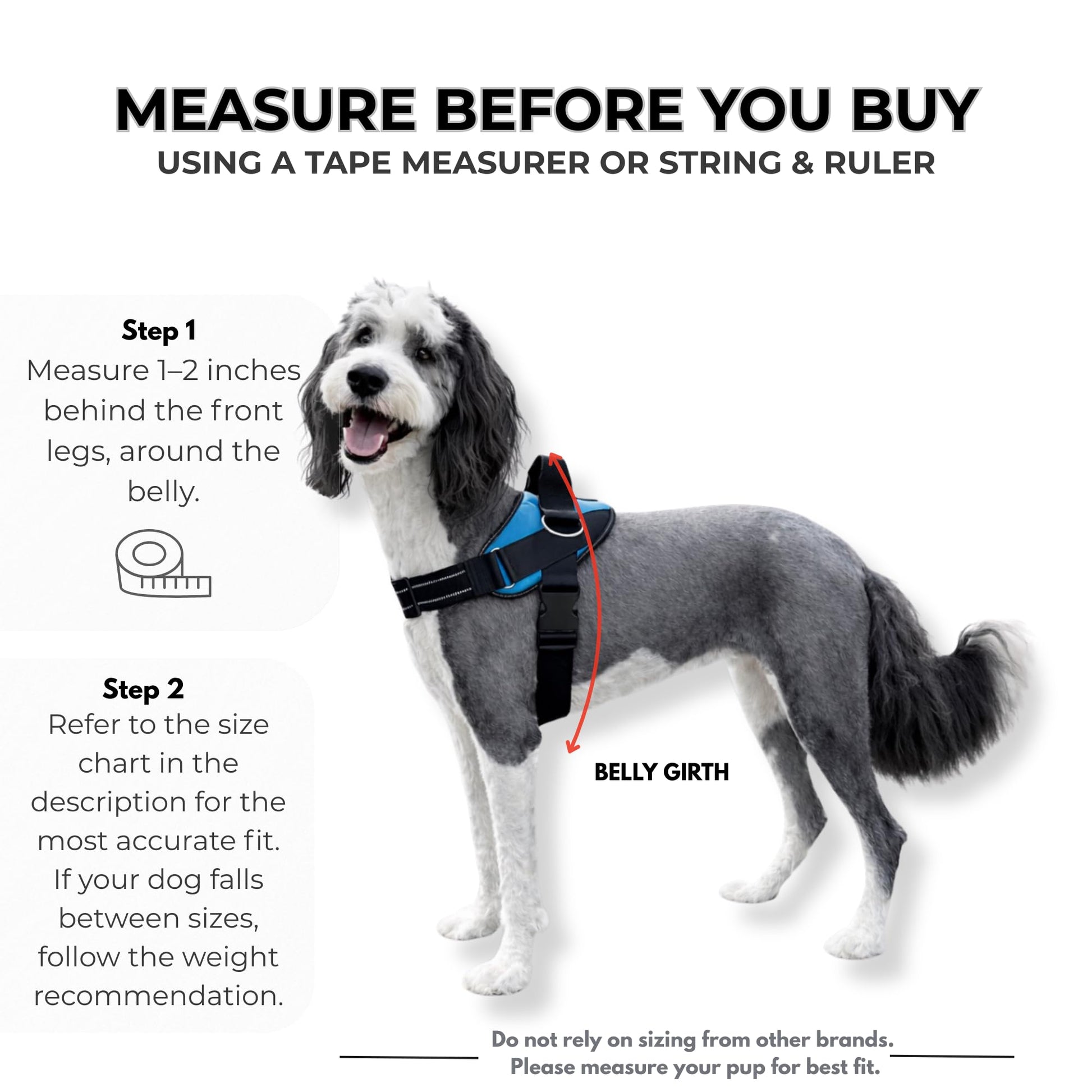 ShawnCo Essential Dog Harness, No-Pull Pet Vest with 3 Leash Leash