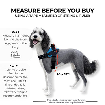 ShawnCo Essential Dog Harness, No-Pull Pet Vest with 3 Leash Leash