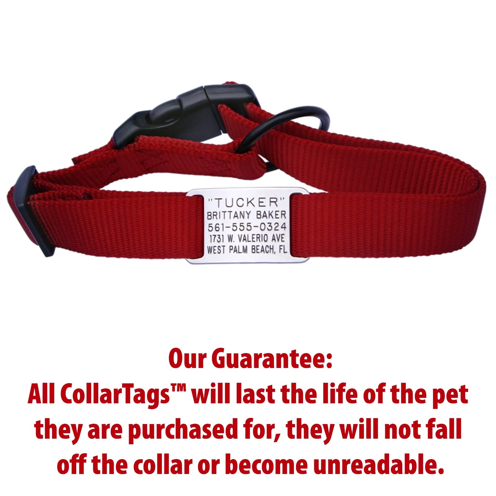 Boomerang Tags Dog Tag Lasts Your Pets Lifetime Personalized Collar