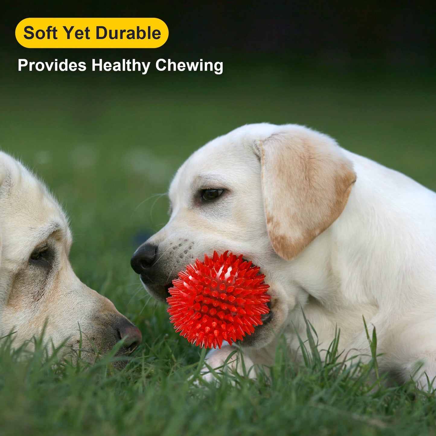 VITEVER 3.5” Squeaky Dog Toy Balls (6 Colors) Puppy Chew Toys