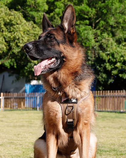 Tactical Dog Harness PETNANNY Service Dog Vest for Large Dogs Hook