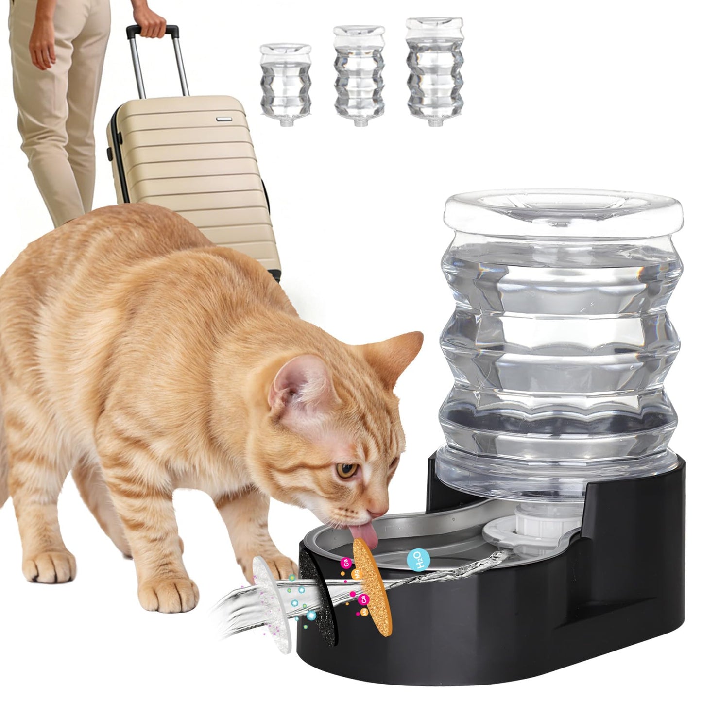 RIZZARI Dog Water Bowl Dispenser: Stainless Steel Gravity Feeder