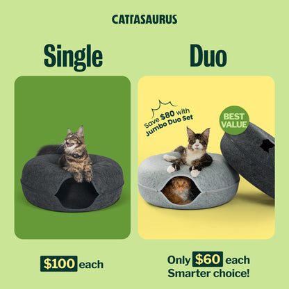 Cattasaurus Peekaboo Cat Cave Duo Jumbo Set, Extra Spacious Cat Bed