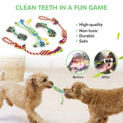 LEGEND SANDY Puppy Toys, Squeaky Dog Toys for Small Dogs, 12 Pack Chew