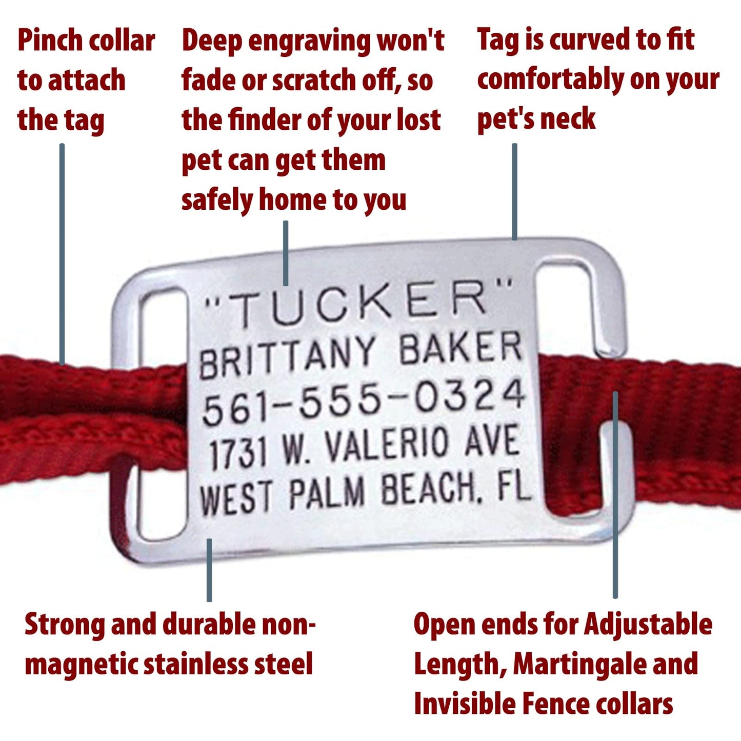Boomerang Tags Dog Tag Lasts Your Pets Lifetime Personalized Collar