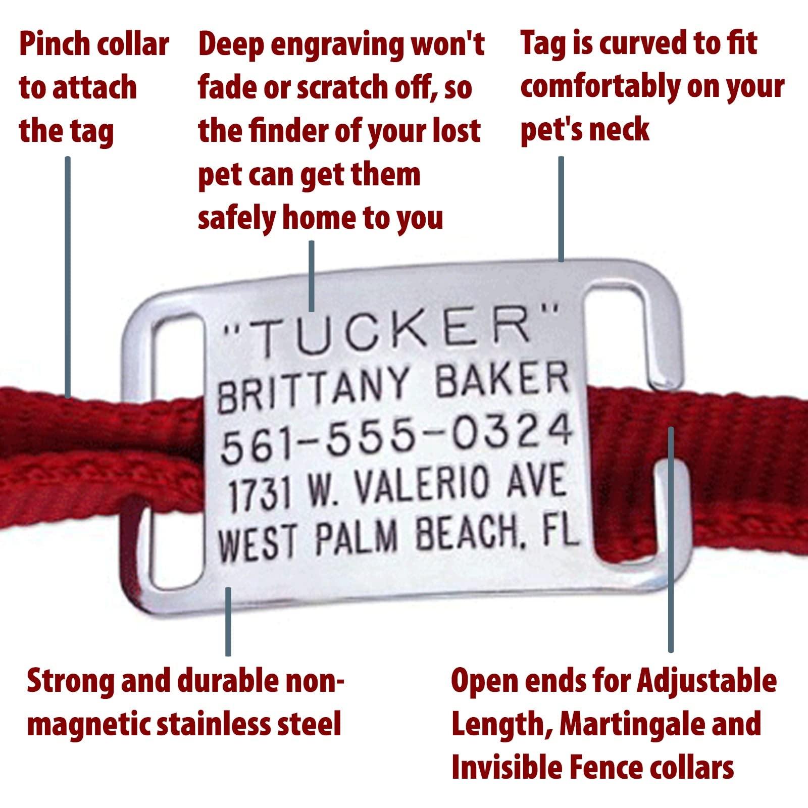 Boomerang Tags Dog Tag Lasts Your Pets Lifetime Personalized Collar