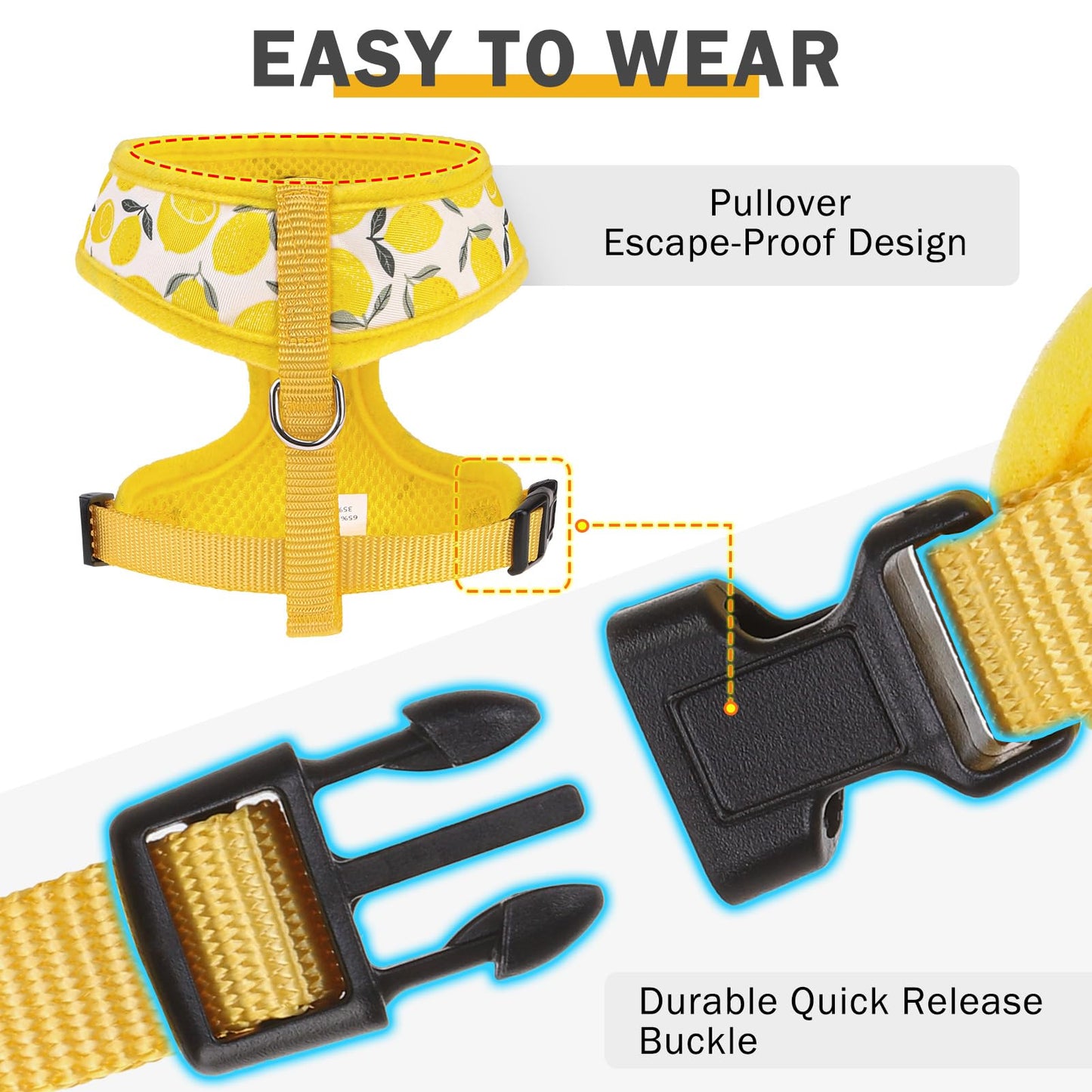 SCENEREAL Small Dog Harness and Leash Collar Set No Pull Dog Harness