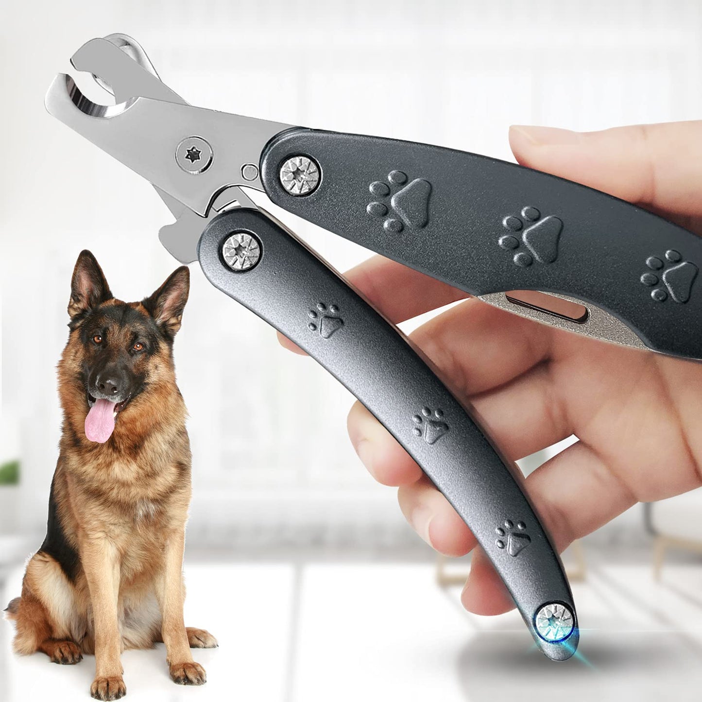 Best Dog Nail Trimmer for Anxiety Sensitive Dog, Silent Sharpest Comb