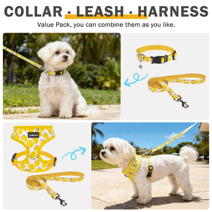 SCENEREAL Small Dog Harness and Leash Collar Set No Pull Dog Harness