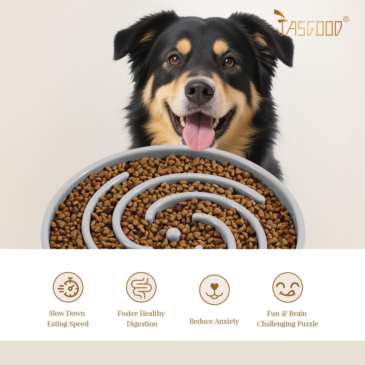 JASGOOD Slow Feeder Dog Bowl Anti-Gulping, Prevents Bloat Choking Bowl