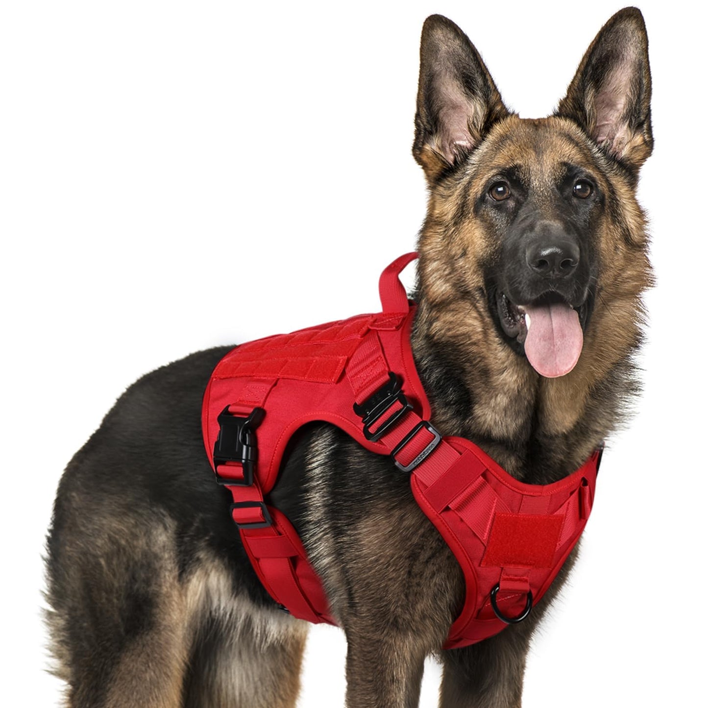 rabbitgoo Tactical Dog Harness for Large Dogs, Heavy Duty Dog Harness