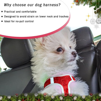 Comfort Fit Step-in Dog Harness All-Weather Dog Puppy Harness