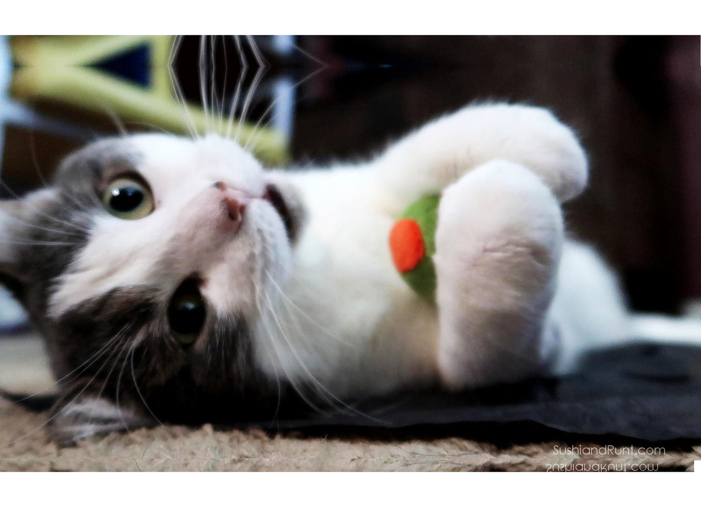 munchiecat Cat Toy Set 2-Piece Organic Catnip Toys with Soft Catnip
