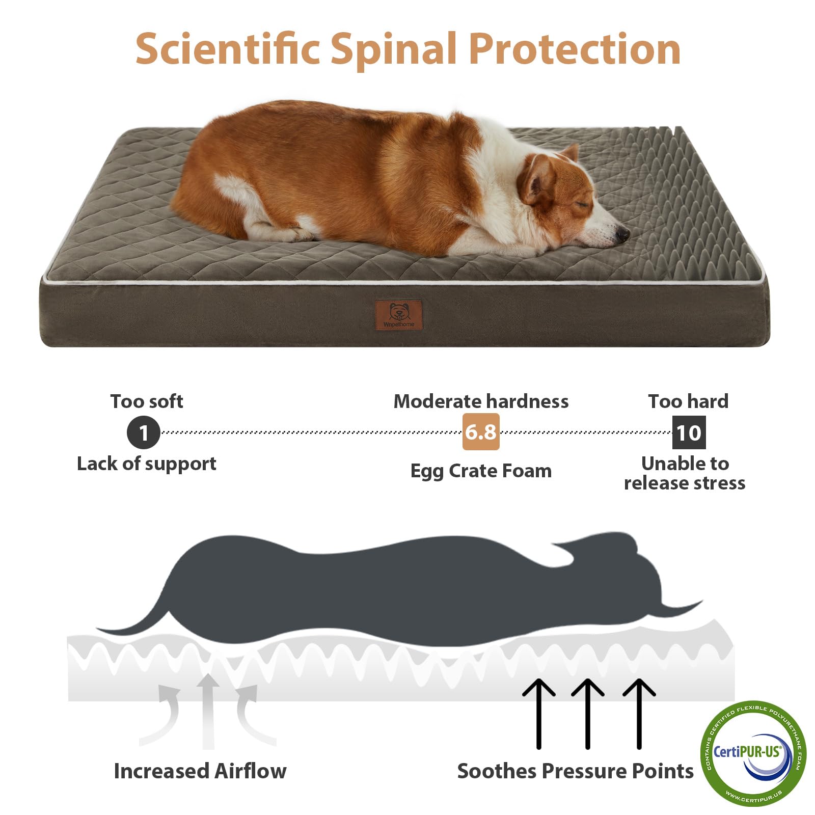 WNPETHOME Orthopedic Big Dog Beds Large Sized Dog, Waterproof Bed