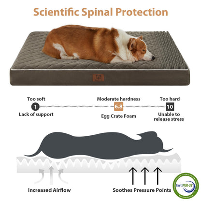 WNPETHOME Orthopedic Big Dog Beds Large Sized Dog, Waterproof Bed