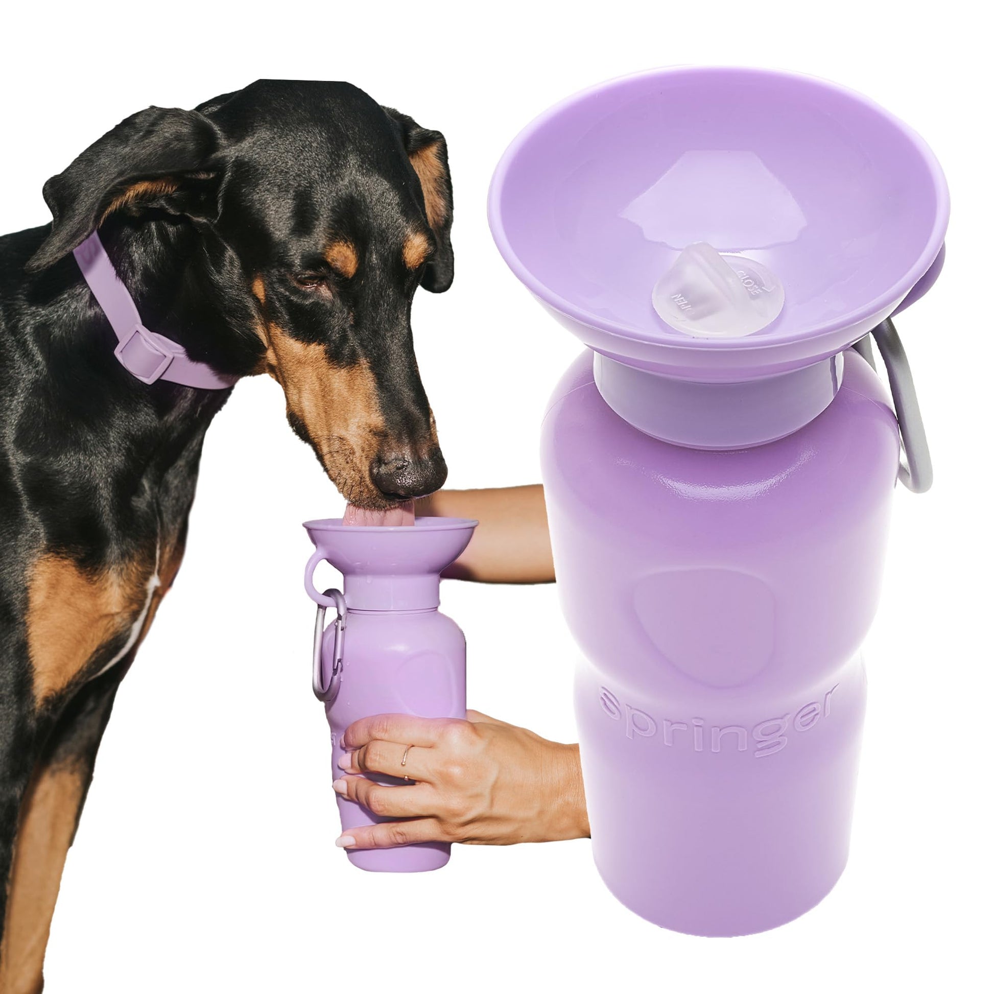Springer Dog Water Bottle, Portable Travel Drinking Feeder Dispenser