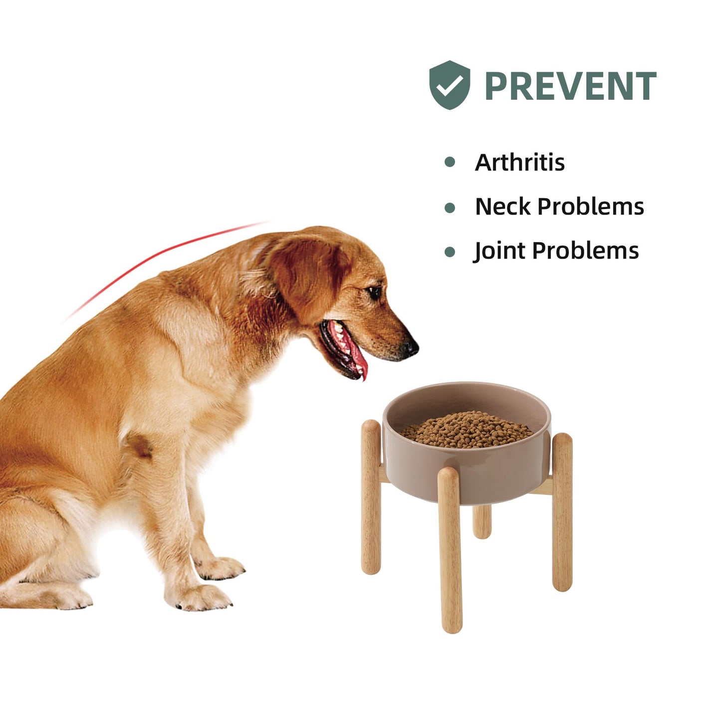 Havniva Ceramic Raised Dog Bowl with Stand for Large Breed Bowl