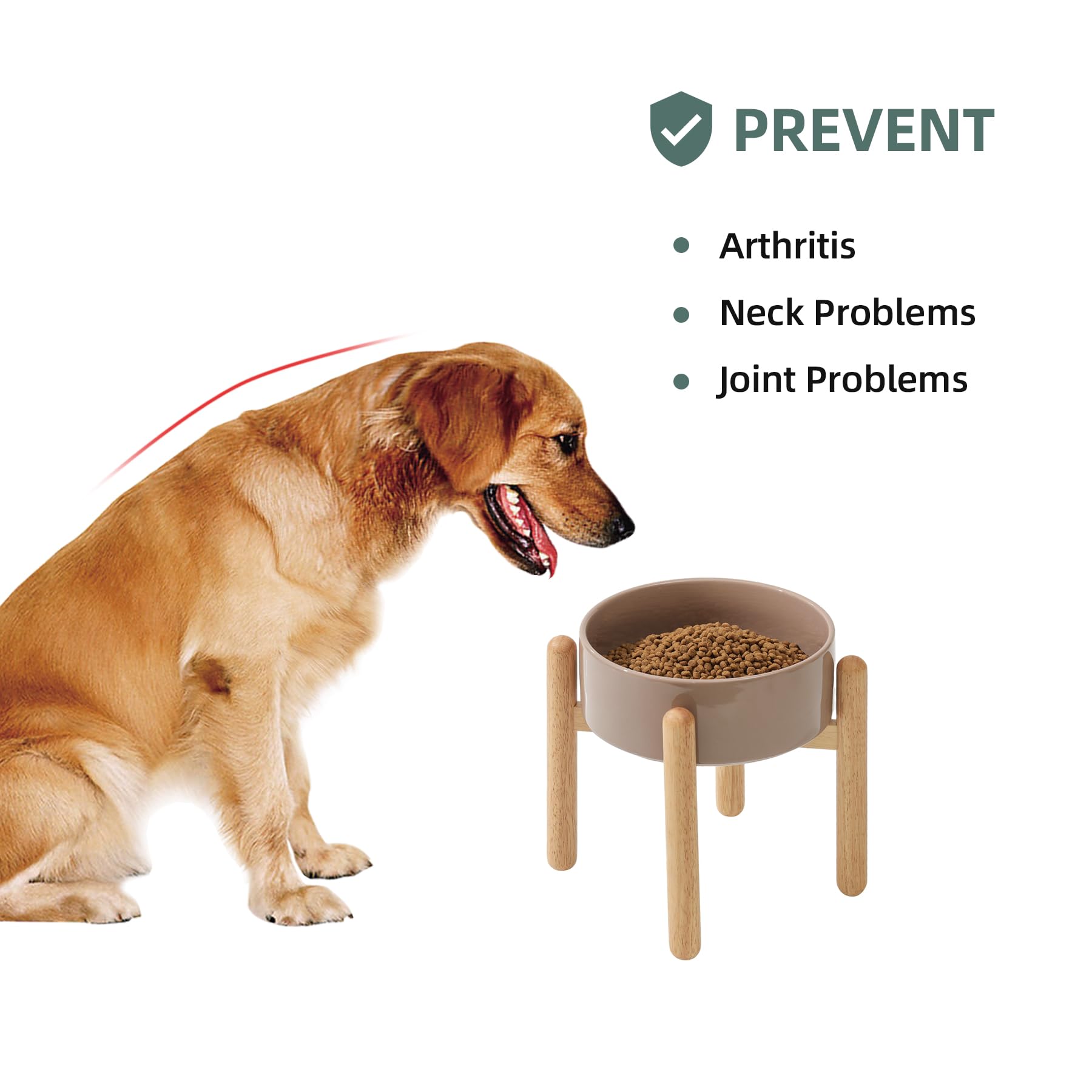 Havniva Ceramic Raised Dog Bowl with Stand for Large Breed Bowl