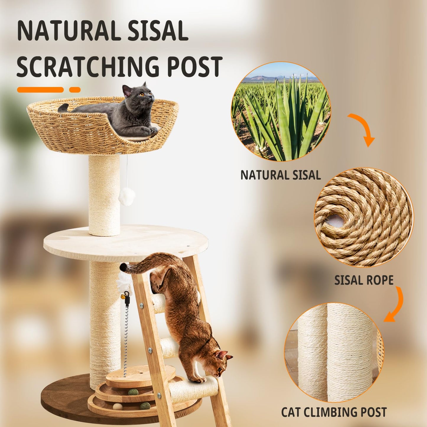 Natural Wood Modern Cat Tree with Top Cats Bed, Unique Cute Toy