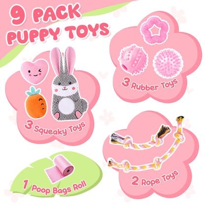 Zeaxuie Puppy Toys for Teething 9 Pack Small Dog Set With Chew