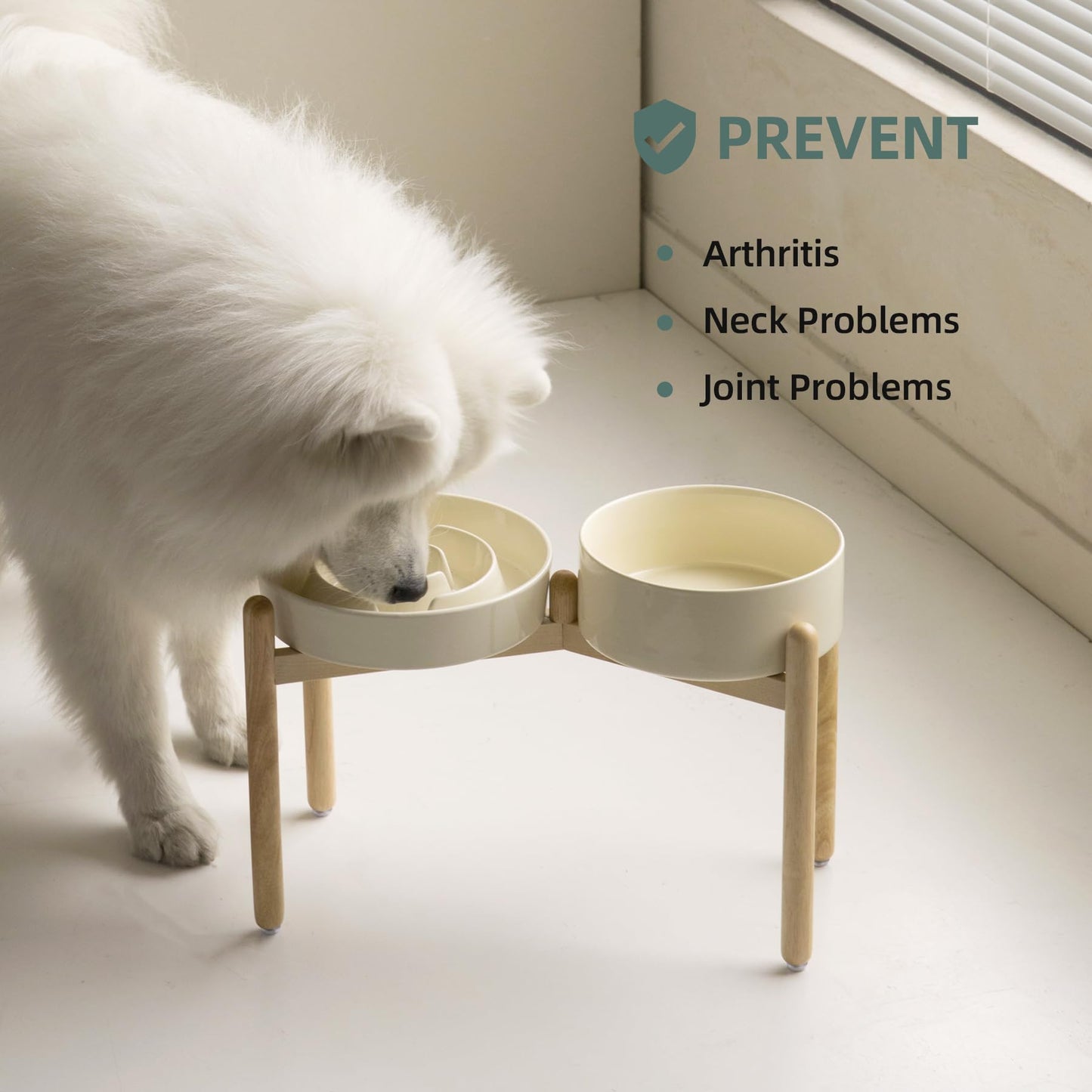 Havniva 3.2 Cup Ceramic Raised Slow Feeder Dog Bowl Set, Elevated Set