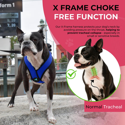 Gooby Comfort X Head In Harness Medium No Pull Small Dog Harness