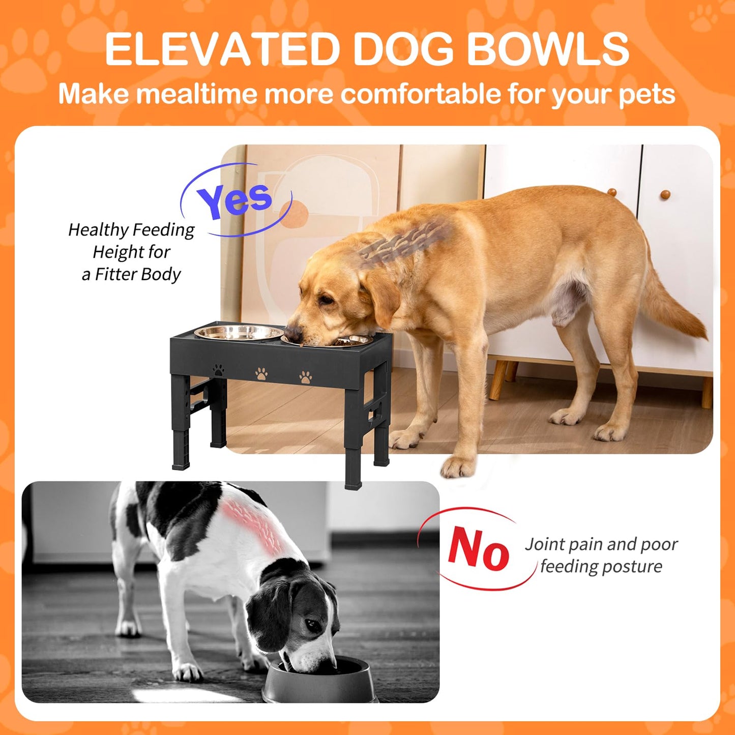 Elevated Dog Bowls with 2 Stainless Steel Bowls, 5-Height Feeder