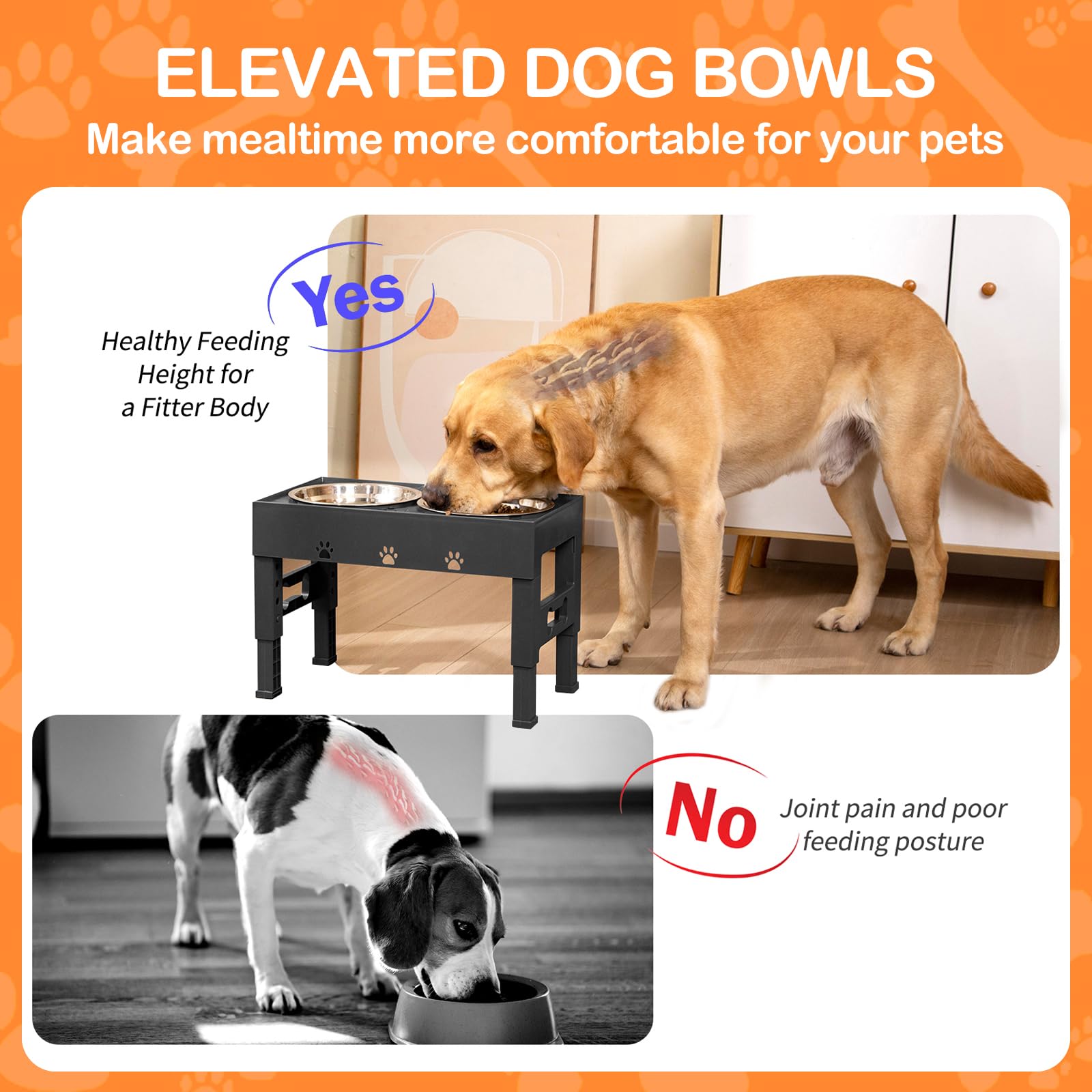 Elevated Dog Bowls with 2 Stainless Steel Bowls, 5-Height Feeder