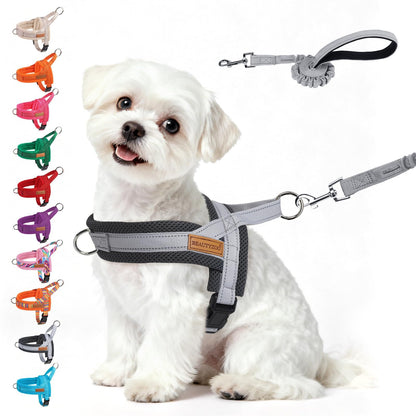 BEAUTYZOO Dog Harness for Small Dogs, No Pull Dog Harness and Leash